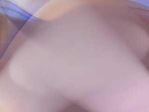 查询优化